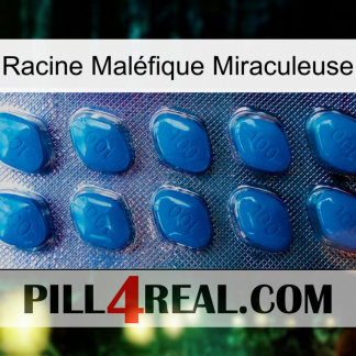 Racine Maléfique Miraculeuse viagra1